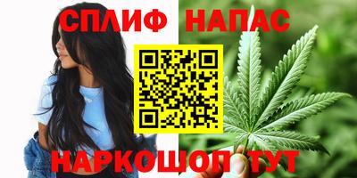 прущие крисы Михайловка