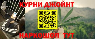 дживик Майкоп