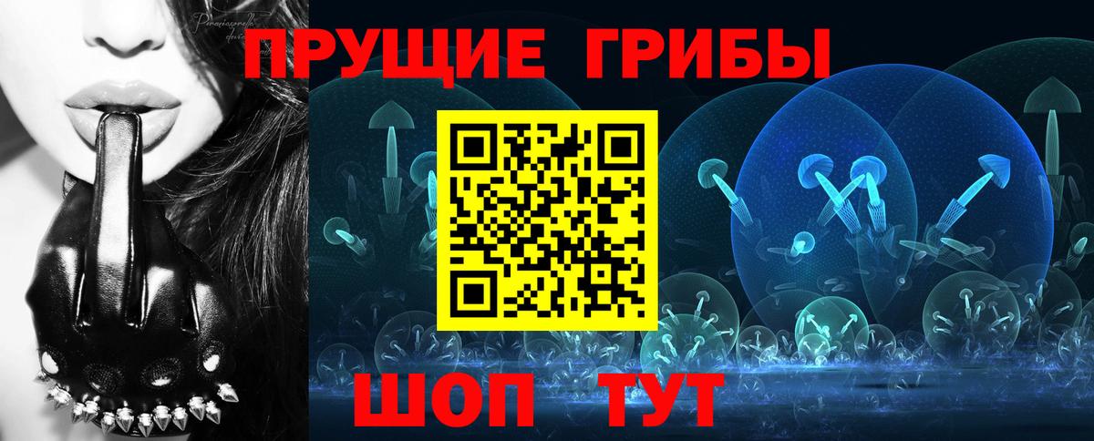 Псилоцибиновые грибы прущие грибы  Вход с VPN  Кашира 